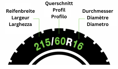 Finde dein SnowGecko Modell mit dem Online Size Finder (Groessenfinder)